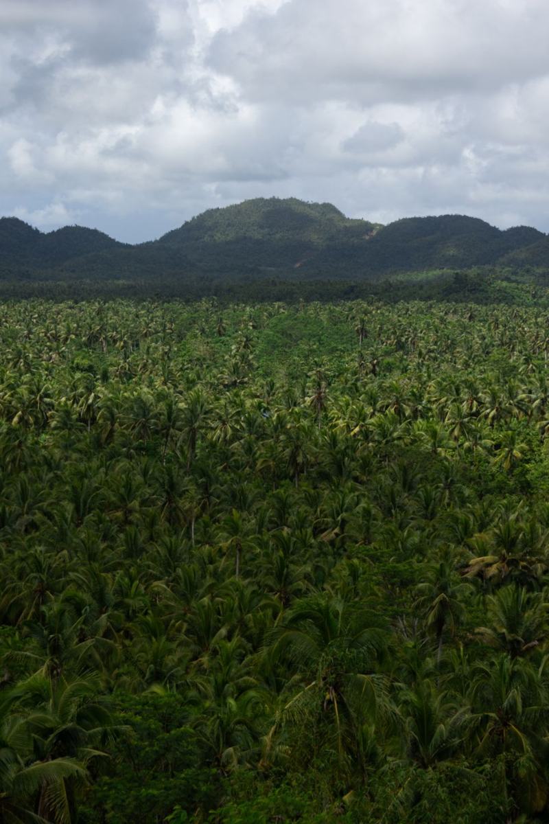 Uitrusten en uitgaan op Siargao (deel 2) — Shapeshifter Money Exchange