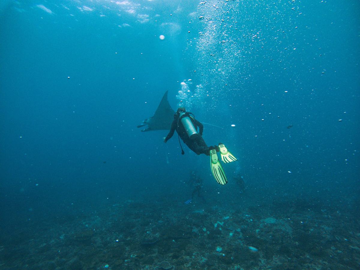 Duiken, snorkelen en kajakken op Nusa Lembongan — Jungutbatu