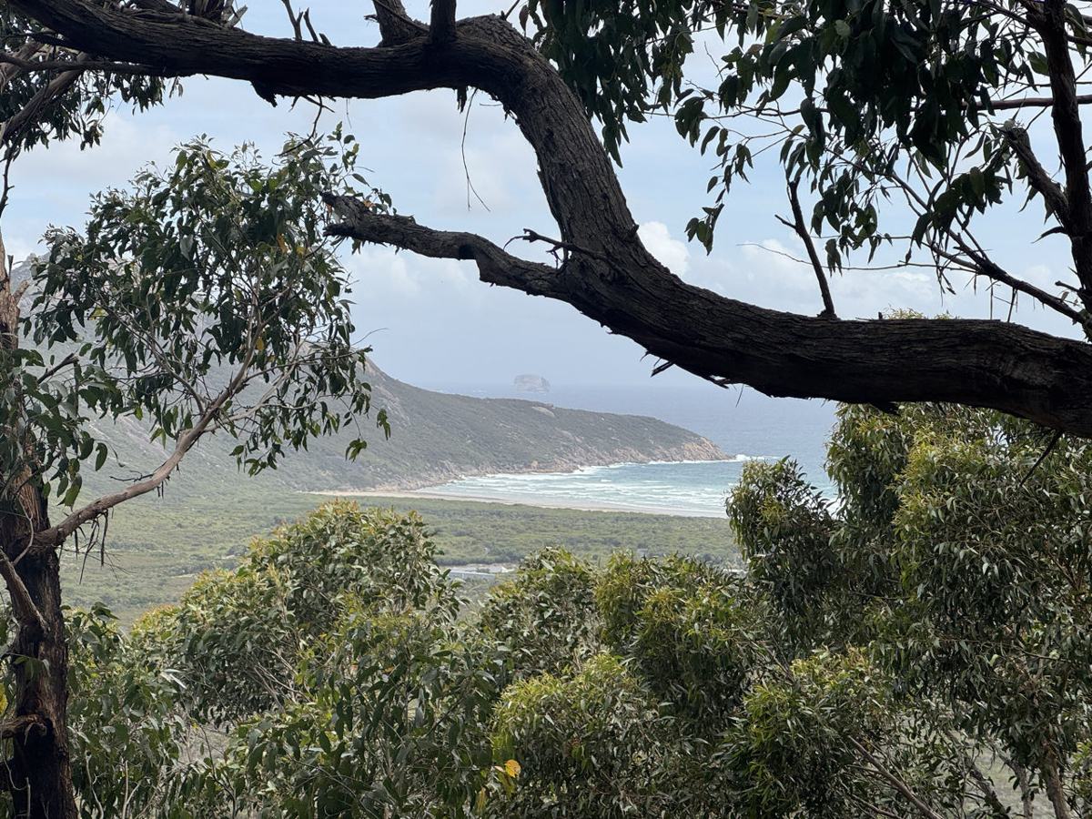 Wandelen in Wilsons Promontory National Park — Walkerville