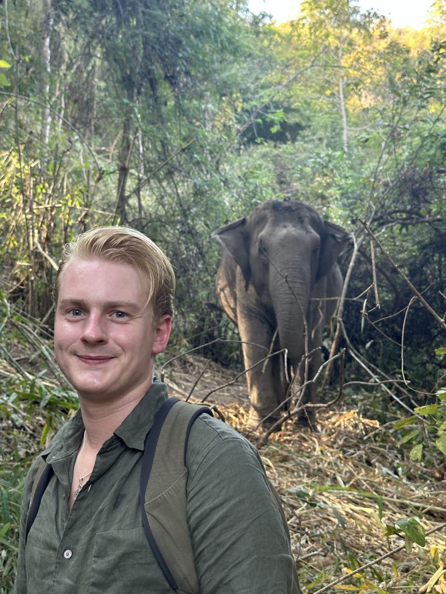 Chef Bas en de Olifanten — Chiang Mai