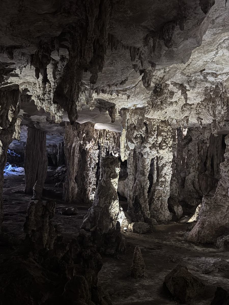 Naracoorte Caves National Park en de vleermuizen — Penola