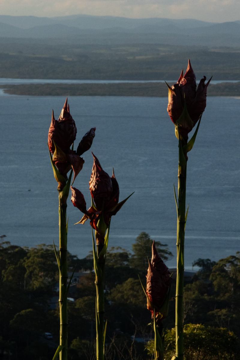 Homestay in Shoal Bay — Shoal Bay