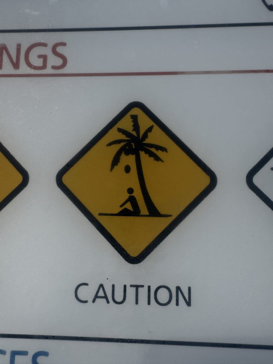 Magnetic Island: Mijn immuunsysteem implodeert — Horseshoe Bay