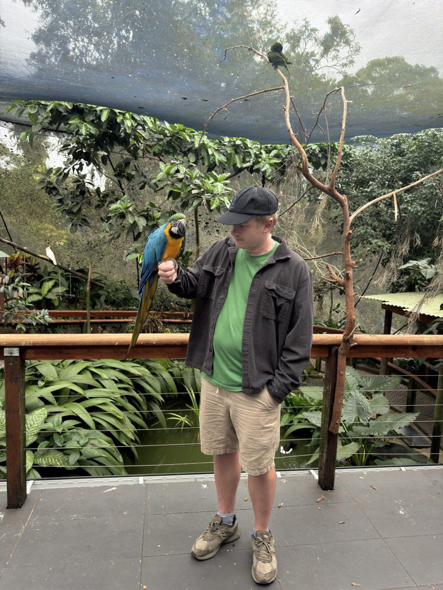 Een ellendig gevoel in Cairns — Cairns City