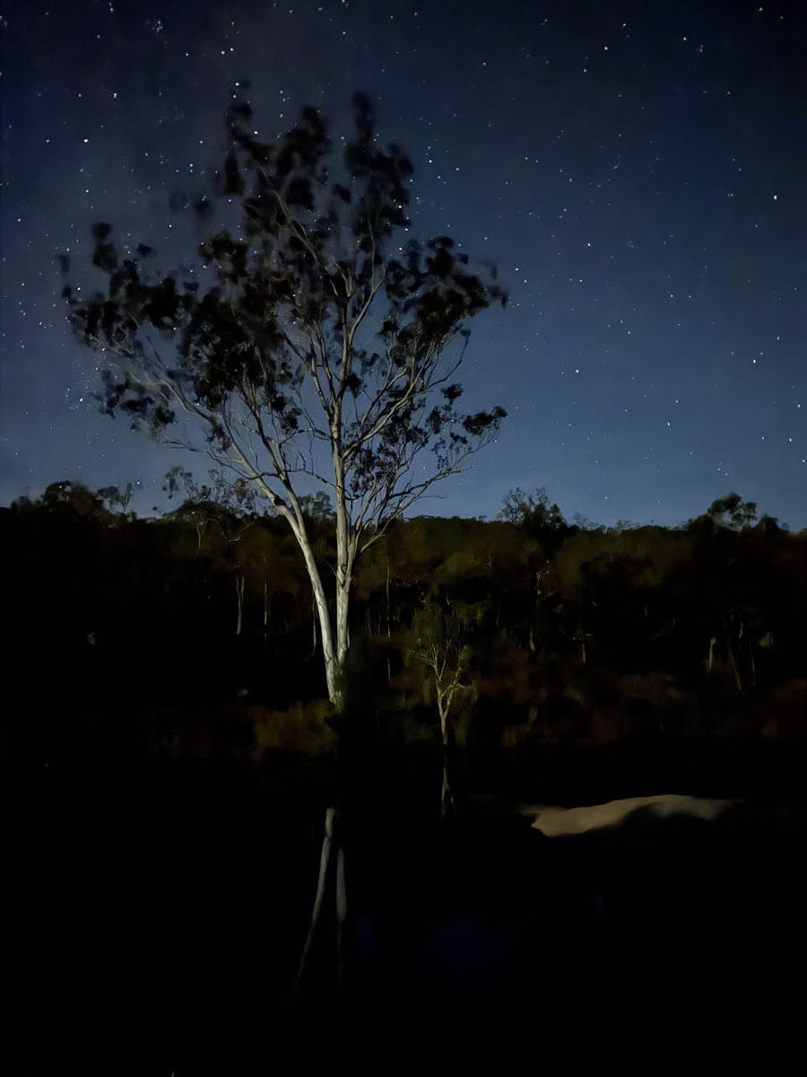 Kampvuur en wildkamperen in de Outback — Watsonville