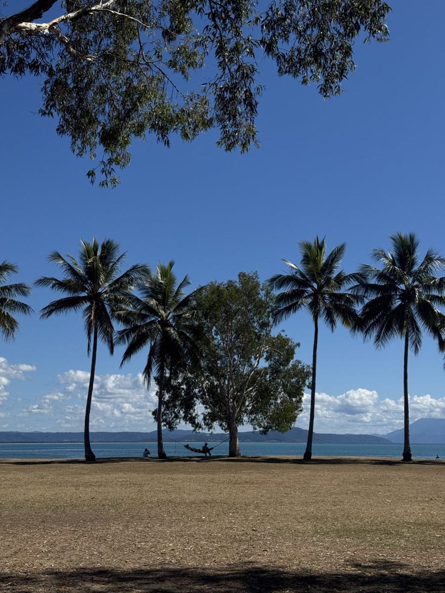 Cooktown en The Bloomfield Track — Cooktown